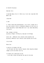 빕스 VIPS 기업분석,SWOT분석및 빕스 마케팅전략 분석과 빕스 미래전략제언-14