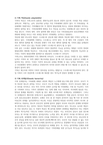 [가족치료] 구조적 가족치료에 대해 논하시오-3