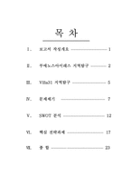 빈민가 지역의 문제점 분석-부에노스아이레스 Villa31지역 중심으로-2