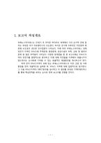 빈민가 지역의 문제점 분석-부에노스아이레스 Villa31지역 중심으로-3