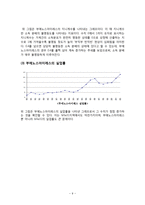 빈민가 지역의 문제점 분석-부에노스아이레스 Villa31지역 중심으로-11
