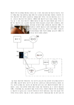 아동복지 영화 분석-\`7번방의 선물\`-3