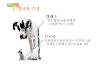 지구화에 따른 국제정치의 변화-13