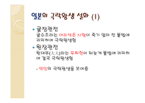 동아시아 극락왕생 설화-13