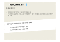 빈민가 지역의 문제점 분석-부에노스아이레스 Villa31지역 중심으로-10