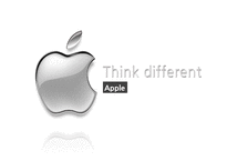 apple의 조직구조 분석-1