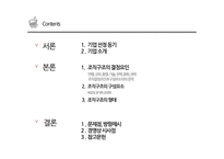 apple의 조직구조 분석-2