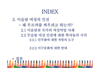 정치에서 젠더의 도구화-3