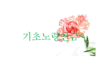 복지정책 분석-기초노령연금-1