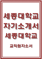 세종대학교자기소개서자소서 세종대학교자기소개서 세종대학교교직원자소서 세종대학교 일반사무직자기소개서 세종대학교직원 일반사무직자소서 세종대학교합격-1