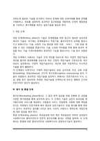 [사회복지실천기술] 개인대상 실천기술(개인대상 사회복지실천의 과정별 개입기술)-5