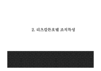 리츠칼튼 마케팅 PPT- 리츠칼튼호텔 기업분석과 SWOT분석및 리츠칼튼호텔 마케팅전략과 향후과제제시-5
