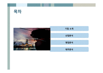 현대 중공업 기업 분석-2