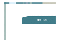 현대 중공업 기업 분석-3