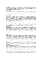 유아교육과 몬테소리 교육 연구-14