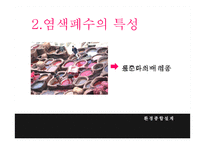 염색 공장 폐수의 효율적 처리-4
