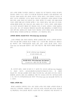 [국제통상] 삼성테스코 홈플러스의 국내시장 진입에 대해-19