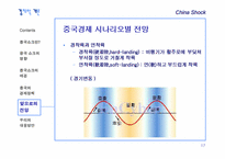 [경제학개론] 중국쇼크-17