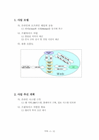 [사업계획서] 프랜차이즈 비디오 사업계획서-12