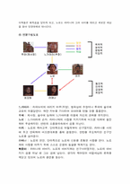 [영화분석] 영화 `라파누이` 내용분석과 감상-4