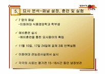 [실험조리신제품개발] 신개념 떠먹는 홍시-7