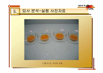 [실험조리신제품개발] 신개념 떠먹는 홍시-9