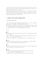 [뉴미디어] DMB에 관하여-6