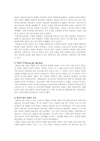 [제3세계정치] 황금의 땅 미얀마-10