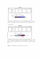 [마케팅조사] 여대생시장에서 열약한 `미샤` 브랜드의 마케팅전략 수립 조사-19