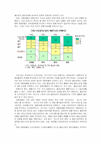 경영전략 사례 레포트-3