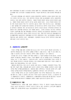 경영전략 사례 레포트-5