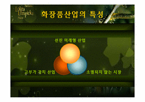 [국제마케팅](주)태평양 롤리타 렘피카의 성공적인 마케팅전략-3