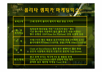 [국제마케팅](주)태평양 롤리타 렘피카의 성공적인 마케팅전략-11