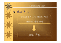 [광고기획안] 한국야쿠르트 `산타페` 광고기획서-20