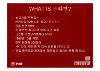 [국제통상] 신라면의 중국진출사례-3
