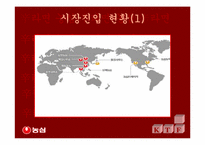 [국제통상] 신라면의 중국진출사례-4