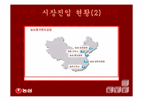 [국제통상] 신라면의 중국진출사례-5