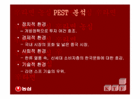 [국제통상] 신라면의 중국진출사례-8