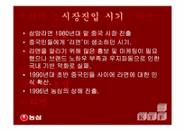 [국제통상] 신라면의 중국진출사례-16
