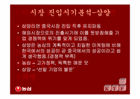 [국제통상] 신라면의 중국진출사례-17