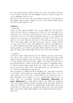 [경영전략] 디즈니 경영분석-11