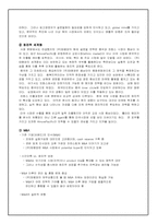[국제마케팅](주)태평양 롤리타 렘피카의 성공적인 마케팅전략-12