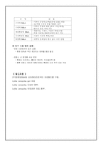 [국제마케팅](주)태평양 롤리타 렘피카의 성공적인 마케팅전략-13