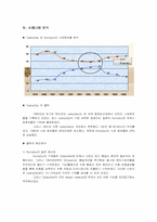 [국제경영] caterpillar-18