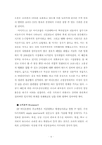 [마케팅] 비디오방 마케팅전략-14