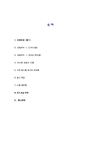 [광고론] 칩스웰 광고분석-2