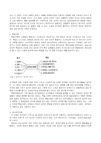 [심리학] 성격 형성과정 연구-4