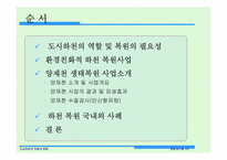 [환경과수질] 도심하천의 역할과 복원 양재천 생태복원사업-2