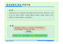 [환경과수질] 도심하천의 역할과 복원 양재천 생태복원사업-5