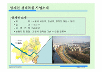 [환경과수질] 도심하천의 역할과 복원 양재천 생태복원사업-6
